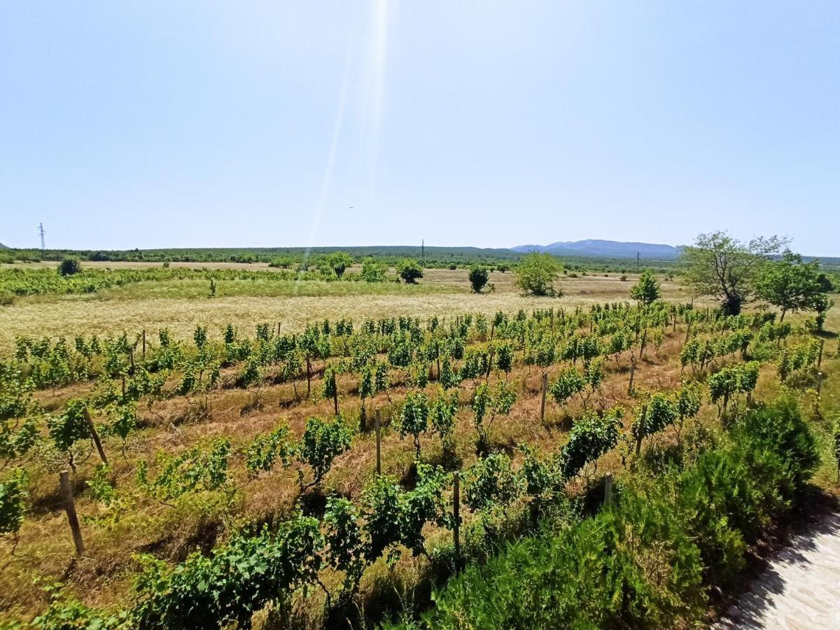 Chateau Tetri Bairagebi White Flags Kisiskhevi Екстериор снимка