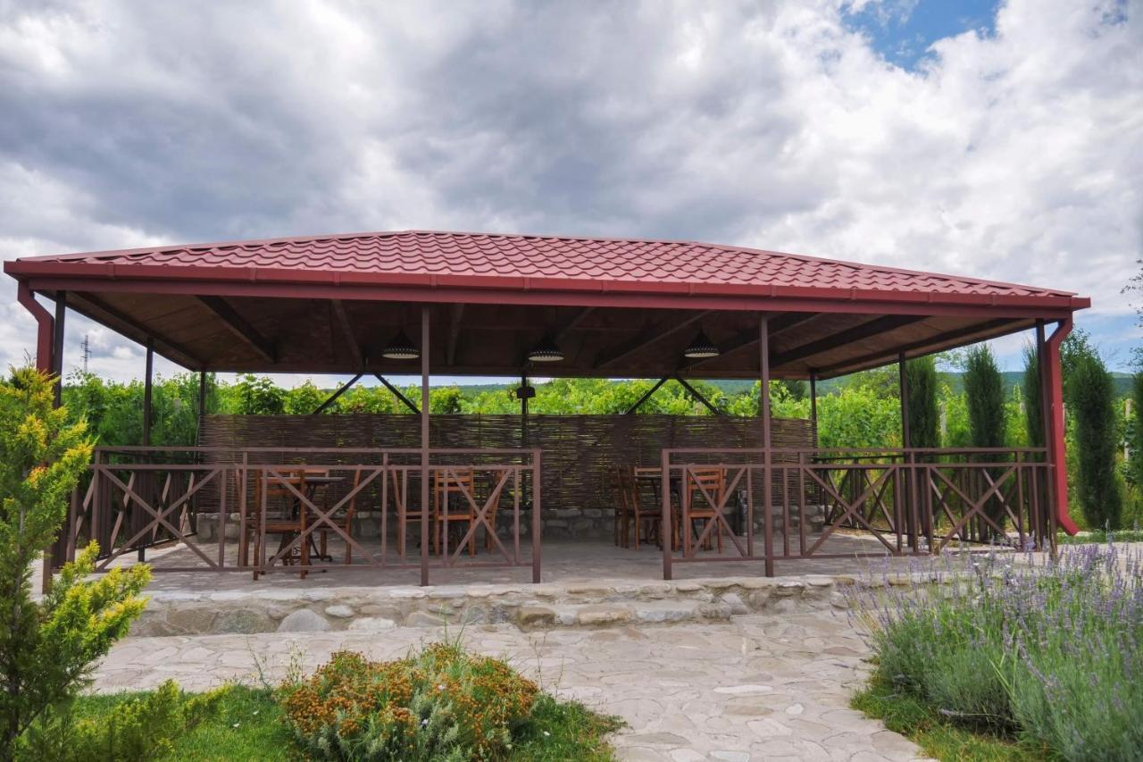 Chateau Tetri Bairagebi White Flags Kisiskhevi Екстериор снимка