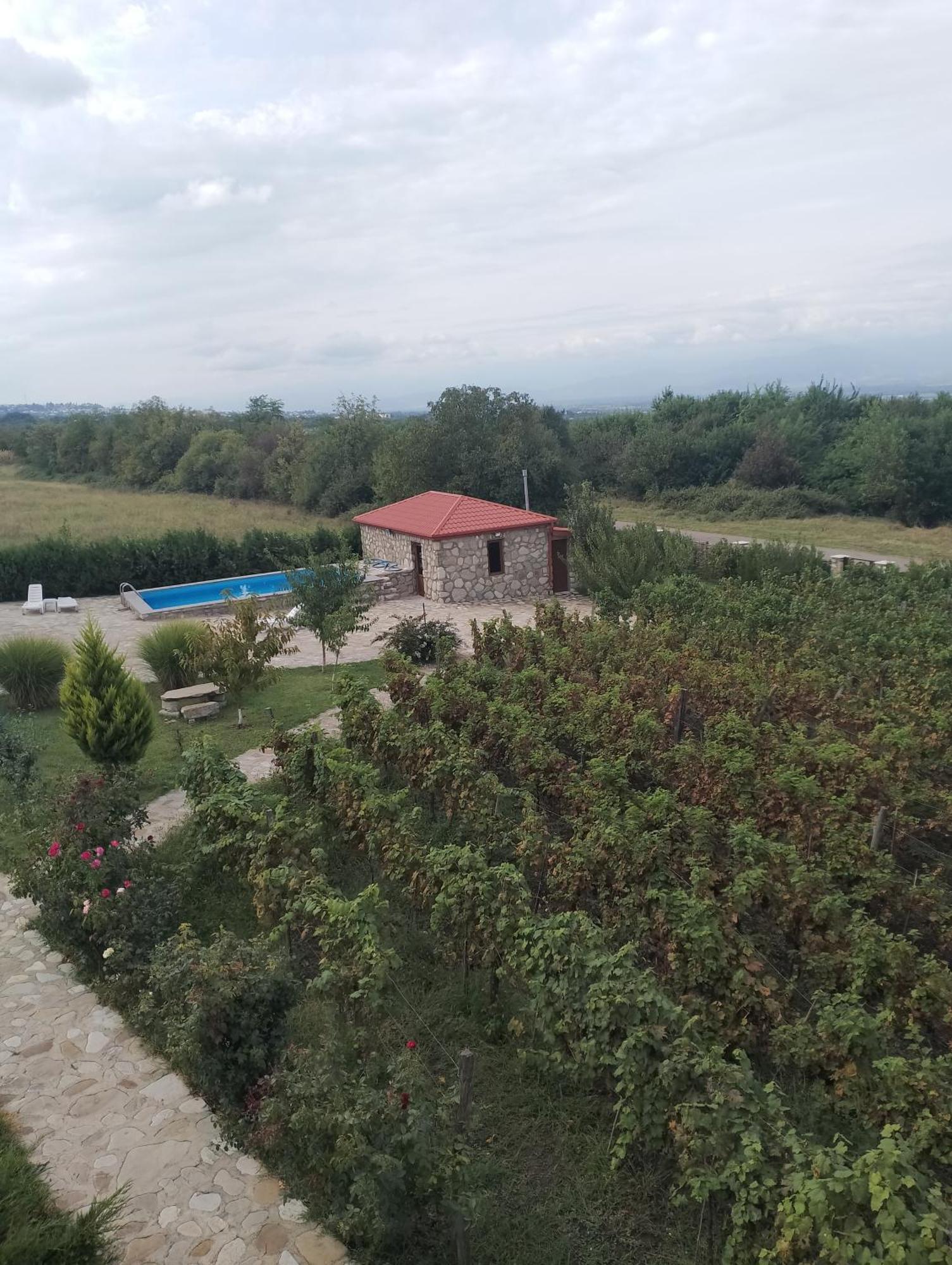 Chateau Tetri Bairagebi White Flags Kisiskhevi Екстериор снимка