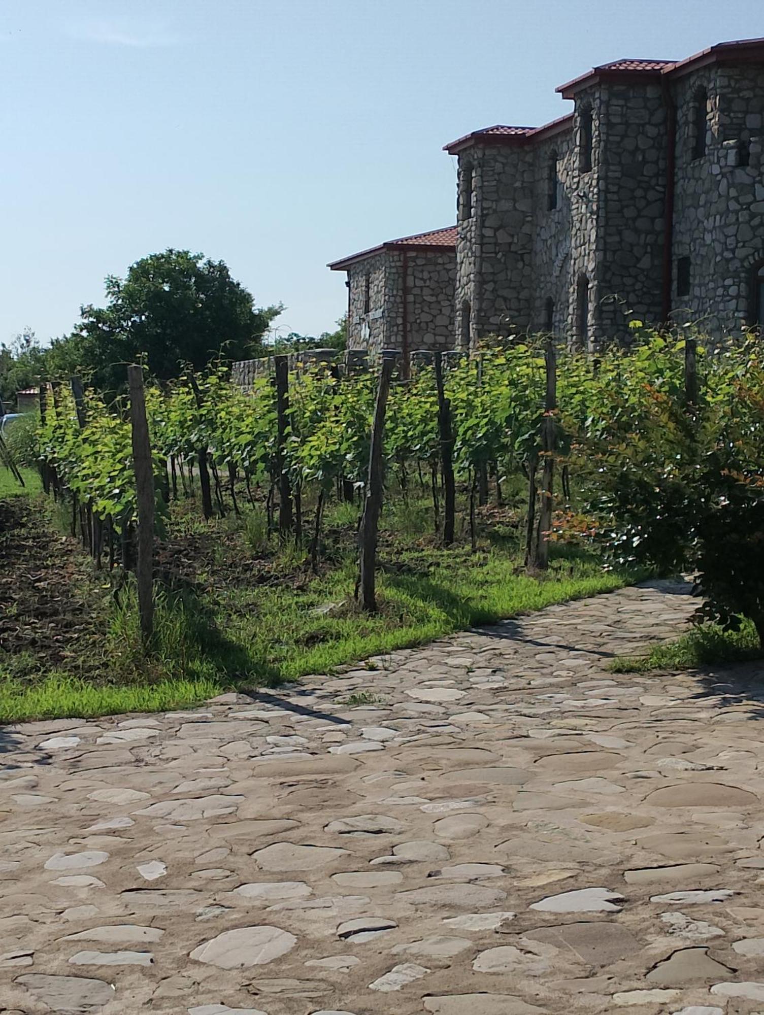Chateau Tetri Bairagebi White Flags Kisiskhevi Екстериор снимка